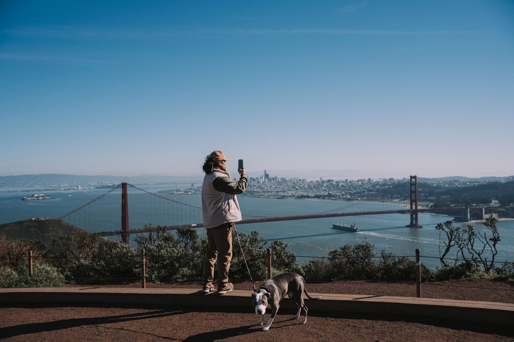 Pet owner using a phone while walking a dog